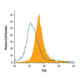4975. HUMAN RYK ANTIBODY 100UG - R&D SYSTEMS