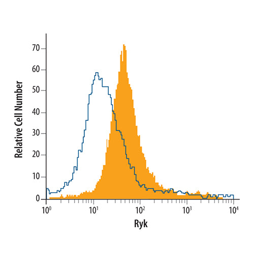 4975. HUMAN RYK ANTIBODY 100UG - R&D SYSTEMS