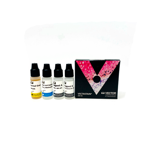 19873. VECTASTAIN ABC-AP KIT ALKALINE PHOSPHATASE (RABBIT IGG) - VECTOR