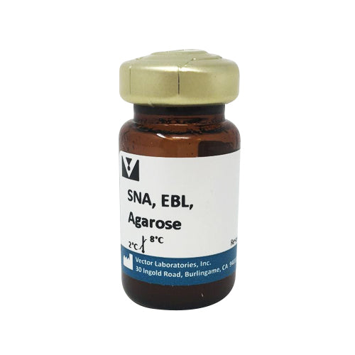5213. SAMBUCUS NIGRA LECTIN (SNA, EBL) AGAROSE BOUND 2ML - VECTOR