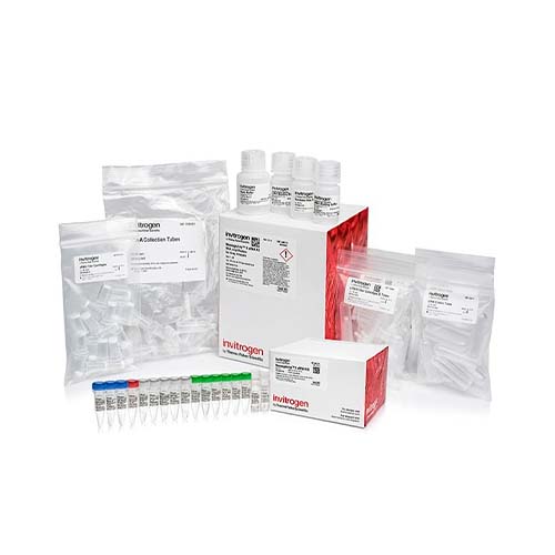 55451.KIT DE AMPLIFICACION DE ARNA MESSAGEAMP II 20 REACCIONES - INVITROGEN