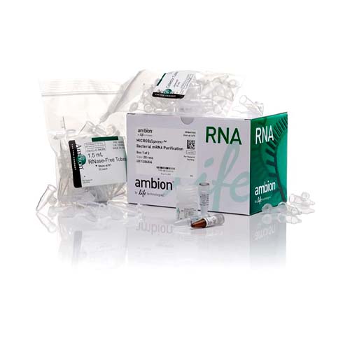 53742. KIT DE ENRIQUECIMIENTO DE ARNM BACTERIANO MICROB EXPRESS 20 PREPARACIONES - INVITROGEN