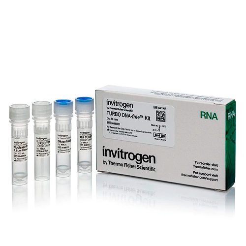 5387. KIT TURBO DNA FREE 50 RXNS - INVITROGEN