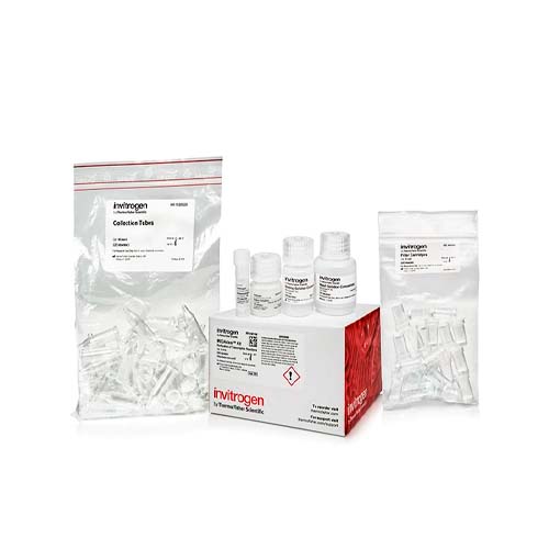 15607. KIT DE LIMPIEZA DE TRANSCRIPCION MEGACLEAR 20 PREPS - INVITROGEN