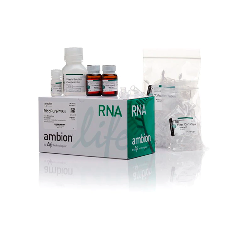 18043. KIT DE PURIFICACION ARN RIBOPURE 50 PREPARACIONES - INVITROGEN
