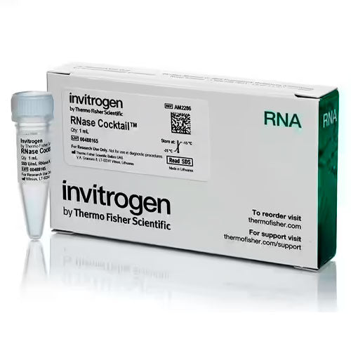 26796. MEZCLA DE ENZIMAS RNASE COCKTAIL 1ML INVITROGEN