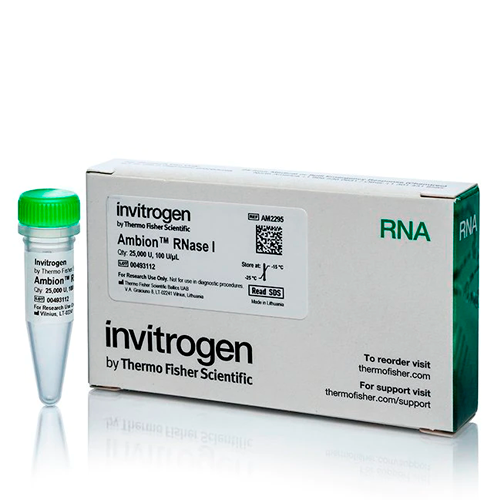 6382. ARNASA I CLONADA (100 U/UL) 25000 UNITS - INVITROGEN