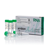 3017. PROTEINASE K (20MG/ML), 5X1.25ML - APPLIED BIOSYSTEMS