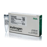 53525. INHIBIDOR DE LA ARNASA DE AMBION CLONADO 40U/UL - INVITROGEN