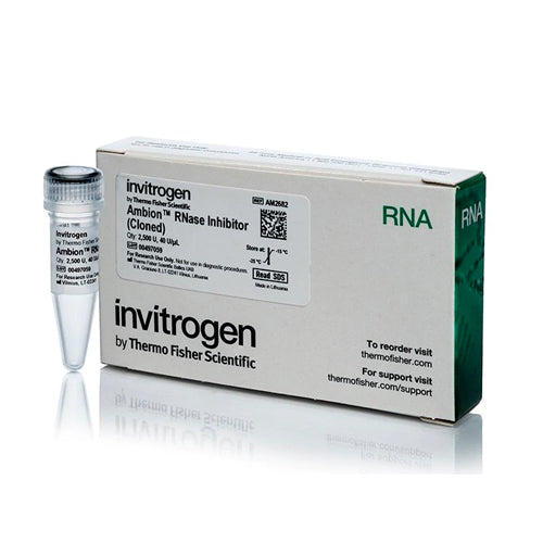 4490. INHIBIDOR DE LA ARNASA DE AMBION CLONADO 40U/UL - INVITROGEN