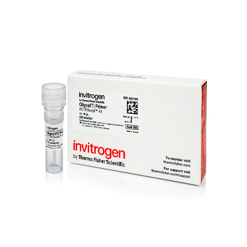19982. OLIGO (DT) PRIMER (50 UM) 80UL - INVITROGEN