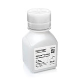 50623. SOLUCION DE ESTABILIZACIÓN RNA LATER 100ML - INVITROGEN