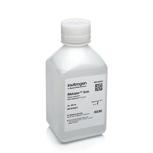 53591. SOLUCION DE ESTABILIZACIÓN RNA LATER 500ML - INVITROGEN