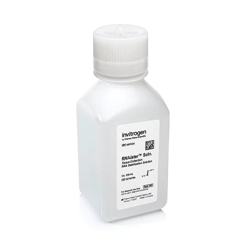 53588. SOLUCION DE ESTABILIZACIÓN RNA LATER 250ML - INVITROGEN