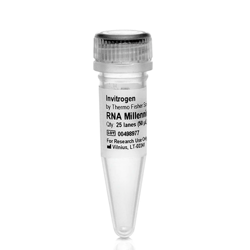 6381. MARCADORES DE ARN MILLENNIUM 50UL - INVITROGEN