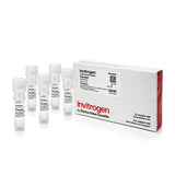 53526. GLUCOGENO 5MG/ML C/5 TUBOS - INVITROGEN