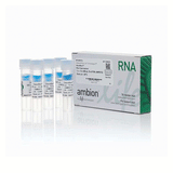 22464. COPRECIPITANTE GLYCOBLUE (15MG/ML) 5 X 300UL INVITROGEN