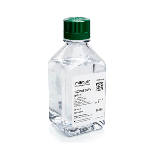 4503. SOLUCION BUFFER C/FOSFATO PBS (10X) PH 7, 4  SIN ARNASA 500ML - INVITROGEN