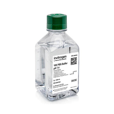53604. SOLUCION SALINA BUFFER CON FOSFATO PBS (10X, PH 7.4) SIN RNASAS 1000ML - INVITROGEN