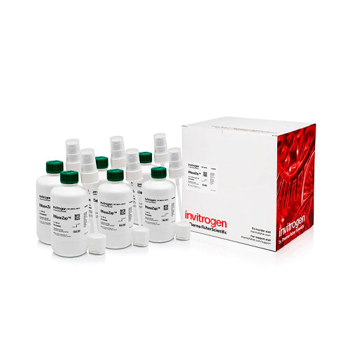 10543. SOLUCION DE DESCONTAMINACION RNASE ZAP RNASE 6 X 250ML - APPLIED BIOSYSTEMS