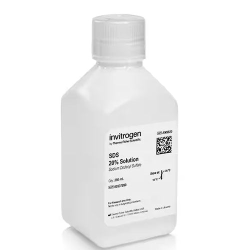 20912. SDS SOLUCION AL 20% SIN ARNASA 250ML - INVITROGEN
