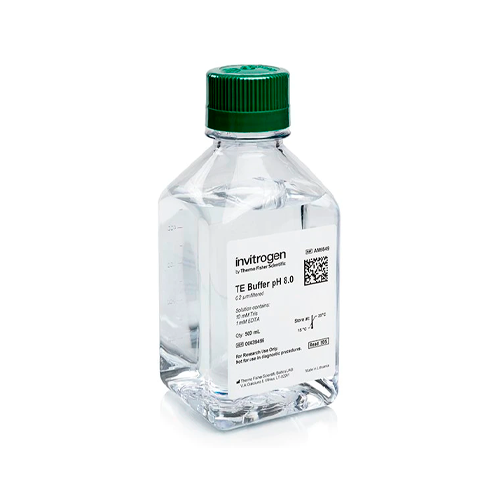 18058. TE BUFFER (PH 8.0) 500ML - INVITROGEN