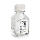53603. SOLUCION BUFFER TE, AMBION (PH 7.0) LIBRE DE RNASAS, P/EXTRACCION DE RNA 50ML - INVITROGEN