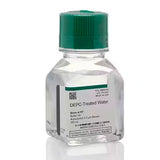24650. AGUA TRATADA C/DEPC 500ML INVITROGEN