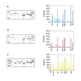 4977. PROTEOME PROFILER HUMAN APATOSIS ARRAY KIT - R&D SYSTEMS