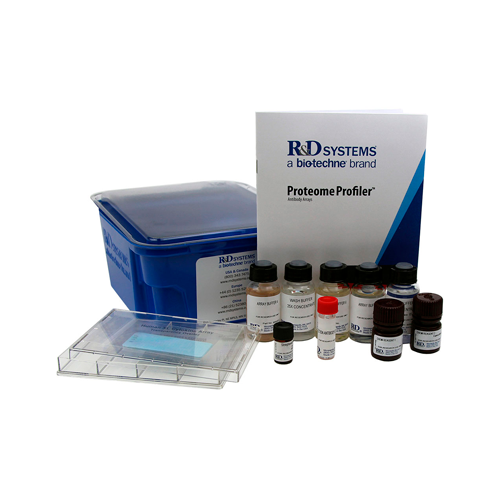 18193. PROTEOME PROFILER HUMAN PROTEASE ARRAY KIT - R&D SYSTEMS