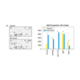 55944. PROTEOME PROFILER MOUSE XL CYTOKINE ARRAY KIT - R&D SYSTEMS