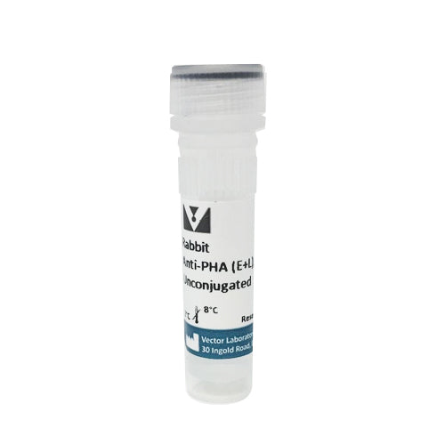 5216. RABBIT ANTI-PHASEOLUS VULGARIS AGGLUTININ (E+L) UNCONJUGATED 1MG - VECTOR