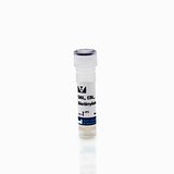 6468. SAMBUCUS NIGRA LECTIN (SNA, EBL) BIOTINYLATED 2MG - VECTOR