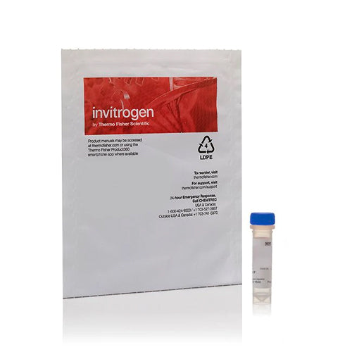 4498. REACTIVO DE TIRAMIDA BIOTIN-XX C/150 - INVITROGEN