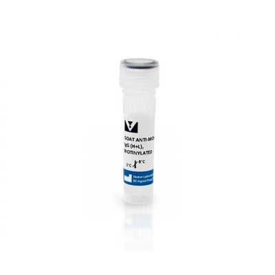 14359. GOAT ANTI-MOUSE IGG ANTIBODY (H+L) BIOTINYLATED 1.5MG - VECTOR