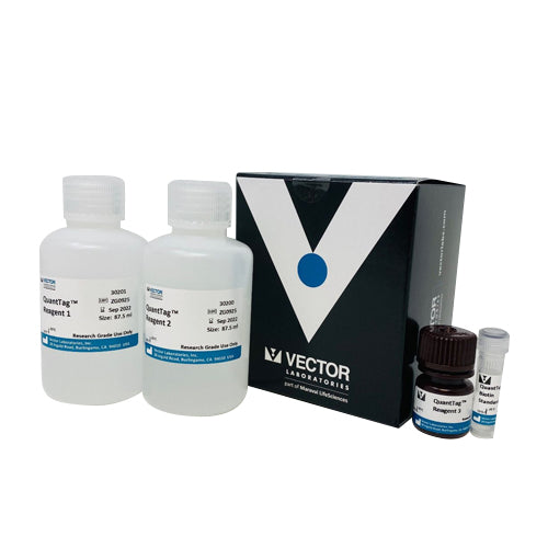 5226. QUANTTAG BIOTIN QUANTITATION KIT - VECTOR