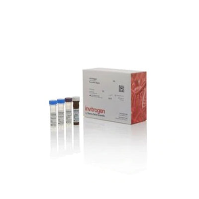 53538. COMPLEMENT C3A HUMAN ELISA KIT 96 TESTS - INVITROGEN