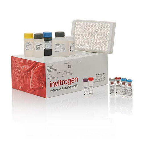 20939. IL-1 BETA HUMAN UNCOATED ELISA KIT 10 X 96 TESTS - INVITROGEN