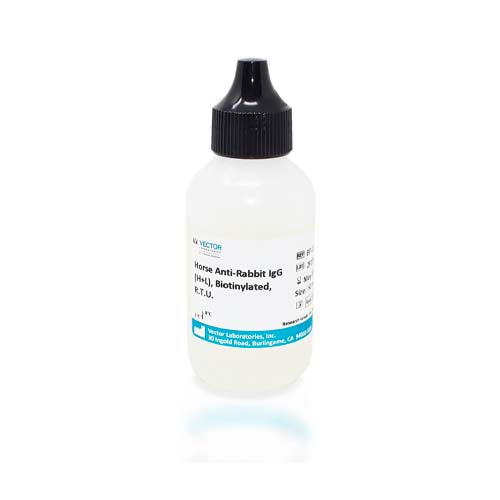 20576. ANTIBODY DRTU BIOTINYLATED ANTI-RABBIT (MADE IN HORSE) 50ML - VECTOR