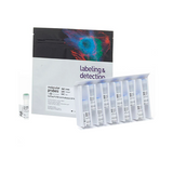 52857.  KIT DE PROLIFERACION DE CELULAS CFSE CELLTRACE P/CITOMETRIA DE FLUJO - MOLECULAR PROBES