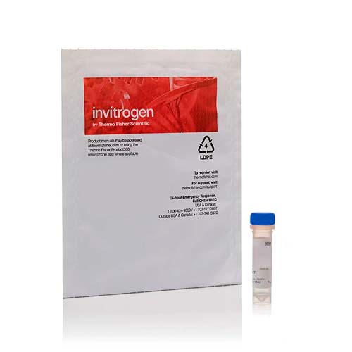 15762. CELLMASK GREEN PLASMA MEMBRANE STAIN 100UL - INVITROGEN