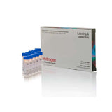 20953. DIHIDROETIDIO (HIDROETIDINA)10 X 1MG - INVITROGEN
