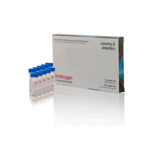 20953. DIHIDROETIDIO (HIDROETIDINA)10 X 1MG - INVITROGEN