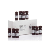 20951. DIMETIL SULFOXIDO (DMSO) ANHIDRO 10 X 3ML - INVITROGEN