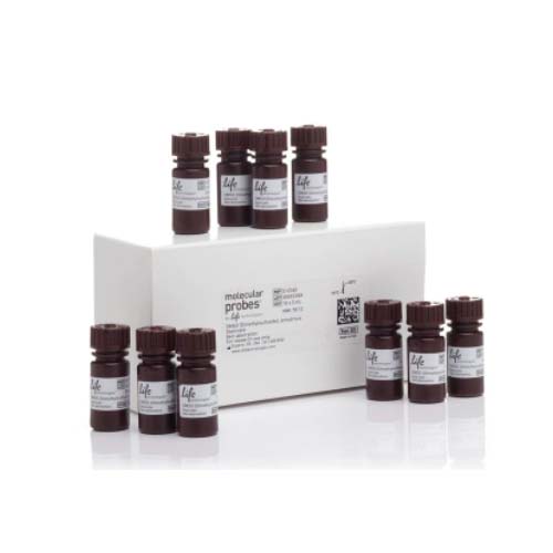 20951. DIMETIL SULFOXIDO (DMSO) ANHIDRO 10 X 3ML - INVITROGEN