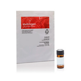 18031. DEXTRANO TETRAMETILRODAMINA 10,000MW, LISINA FIJABLE (FLUORO-RUBI) 25MG - INVITROGEN
