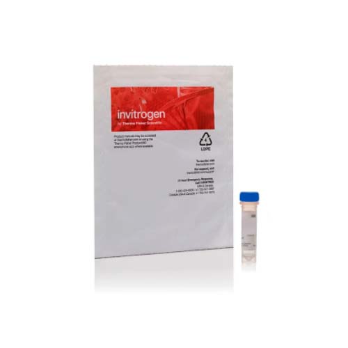 20952. DIHIDRORODAMINA 123, 10MG - INVITROGEN