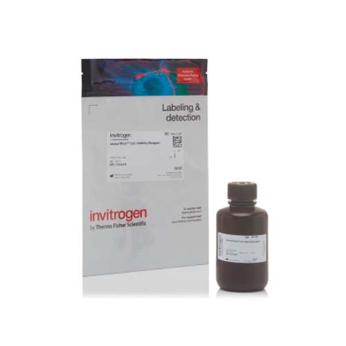 20955. ALAMAR BLUE 100ML - INVITROGEN