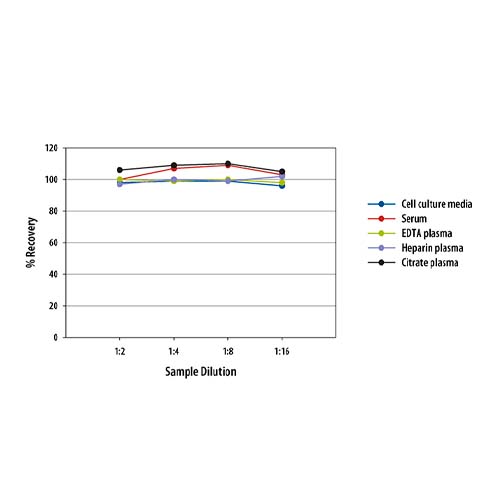 15837. HUMAN CD14 QUANTIKINE ELISA KIT 96 WELL-STRIP - R&D SYSTEMS