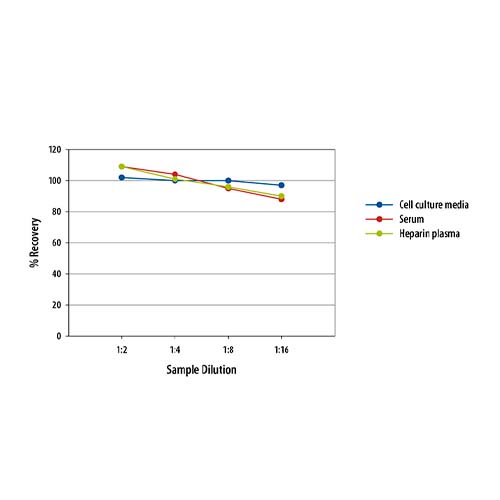 15838. HUMAN CD163 QUANTIKINE ELISA KIT 96 WELL-STRIP - R&D SYSTEMS